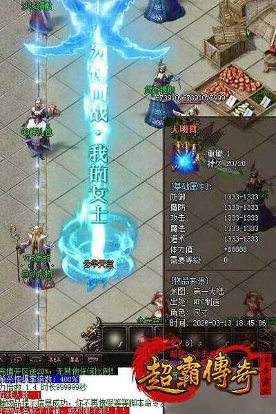 仿盛大搜服网2