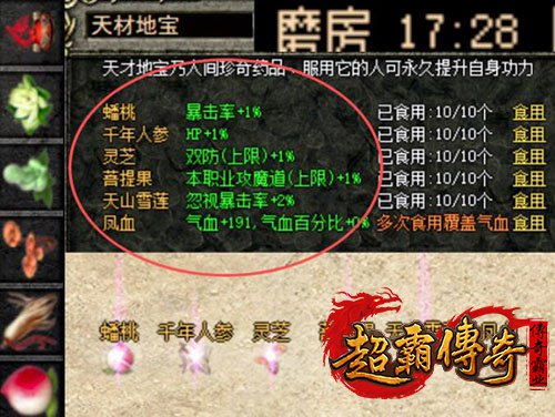 仿盛大搜服网1