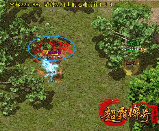 仿盛大搜服网2